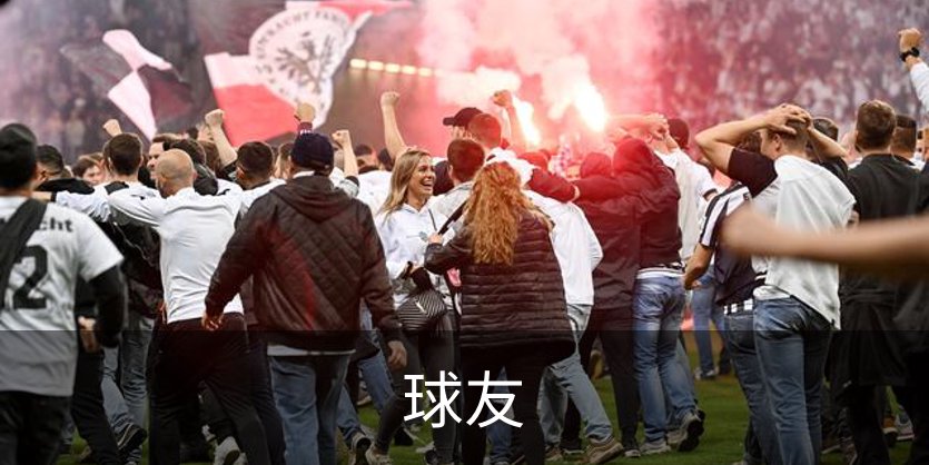 球友简介
